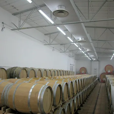 Podere Orzalume Primo Piano Corbara (Umbria)