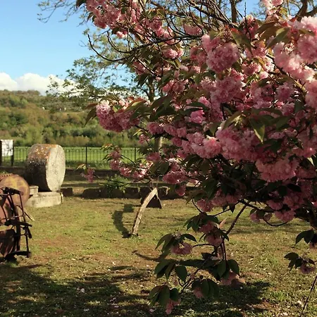 Agroturismo Podere Orzalume Primo Piano *